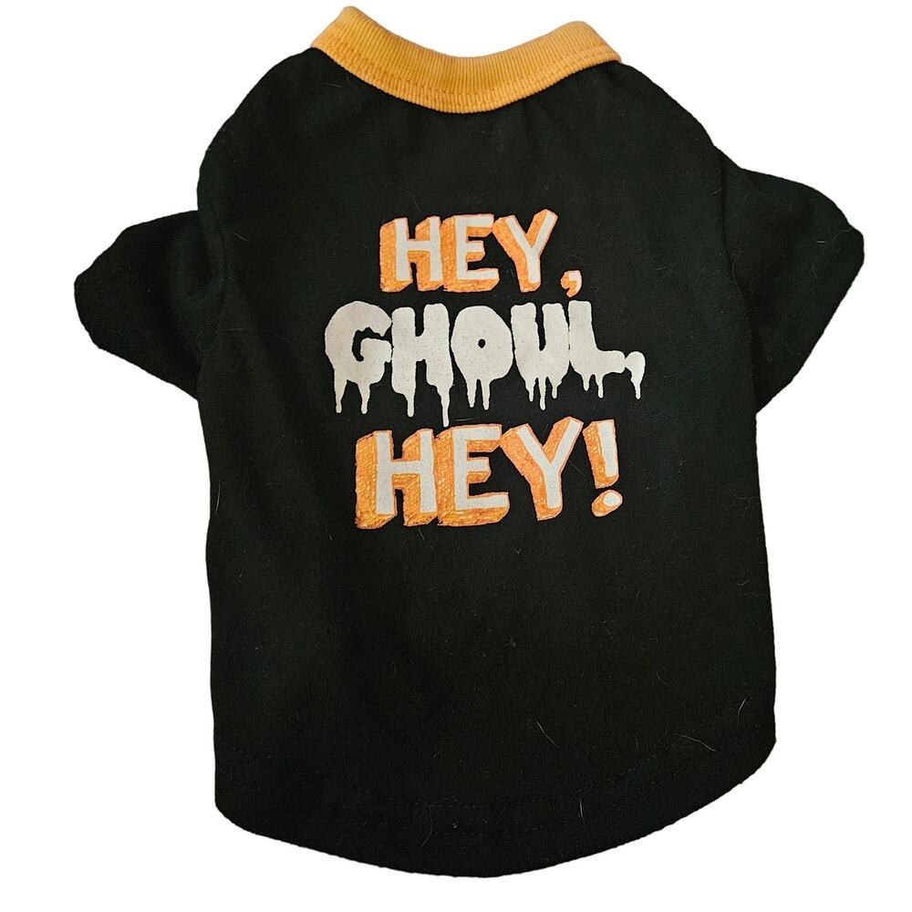 Hey Ghoul Hey Halloween Dog Tee Size Small